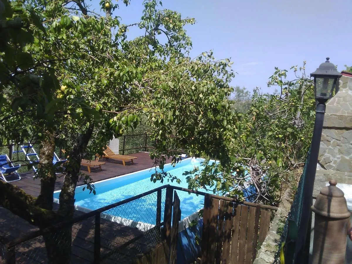 Country House Near Florence Affittacamere