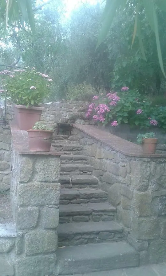 Country House Near Florence Affittacamere