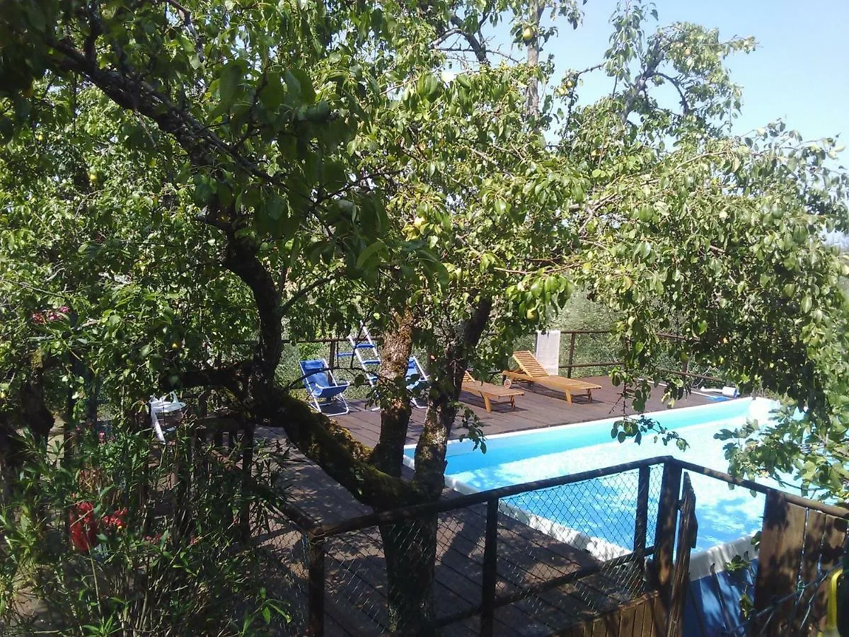 Country House Near Florence Pensionat